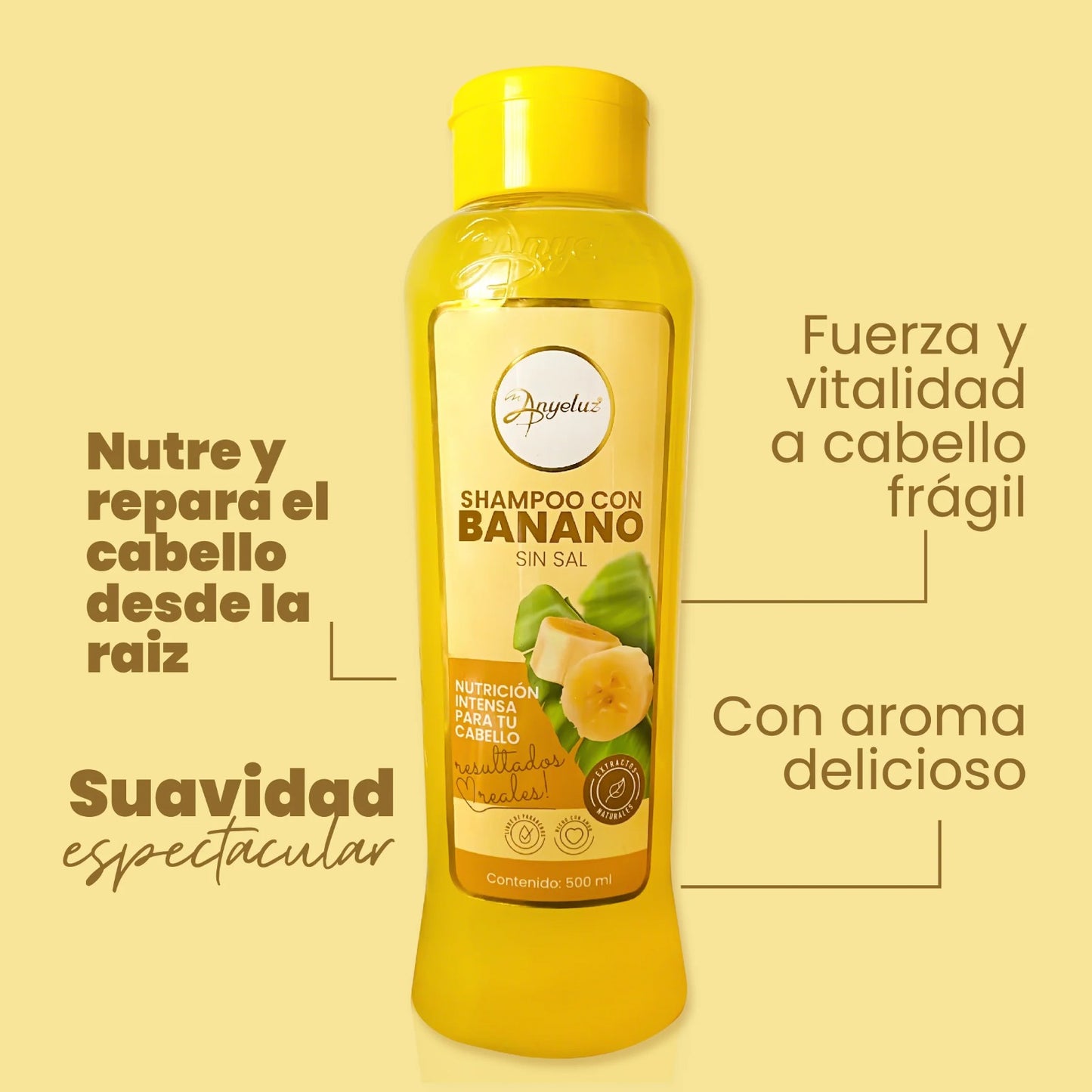 SHAMPOO SECO ANYELUZ