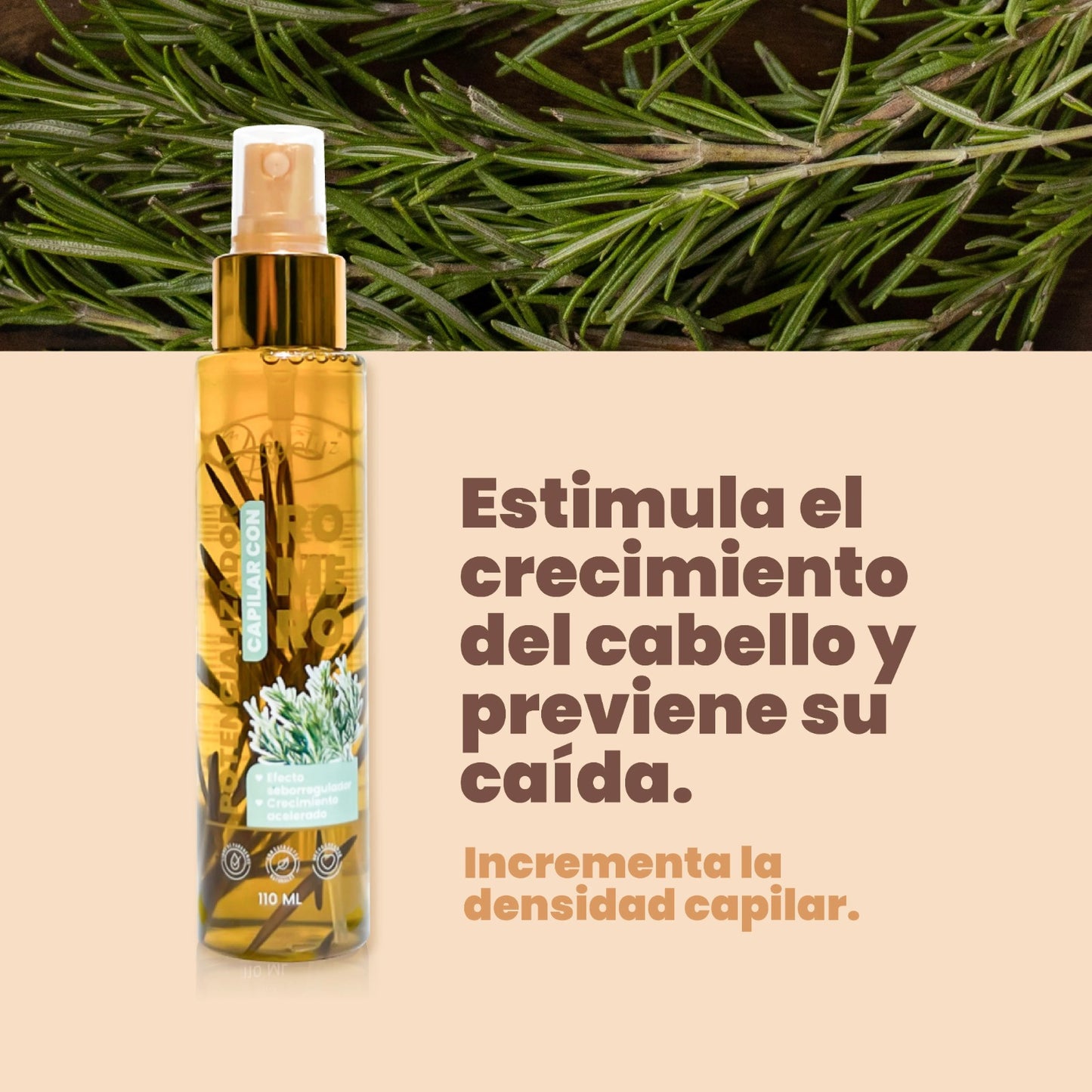 POTENCIALIZADOR DE ROMERO ANYELUZ