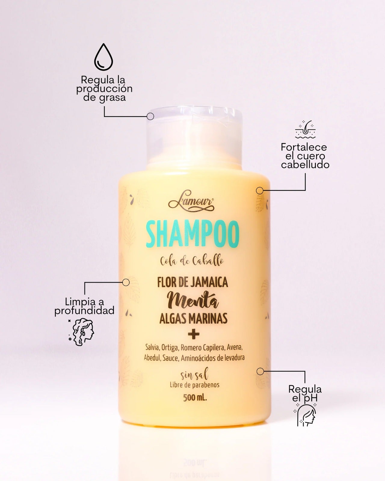 Shampoo Cola De Caballo L´amour
